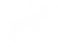 Aries